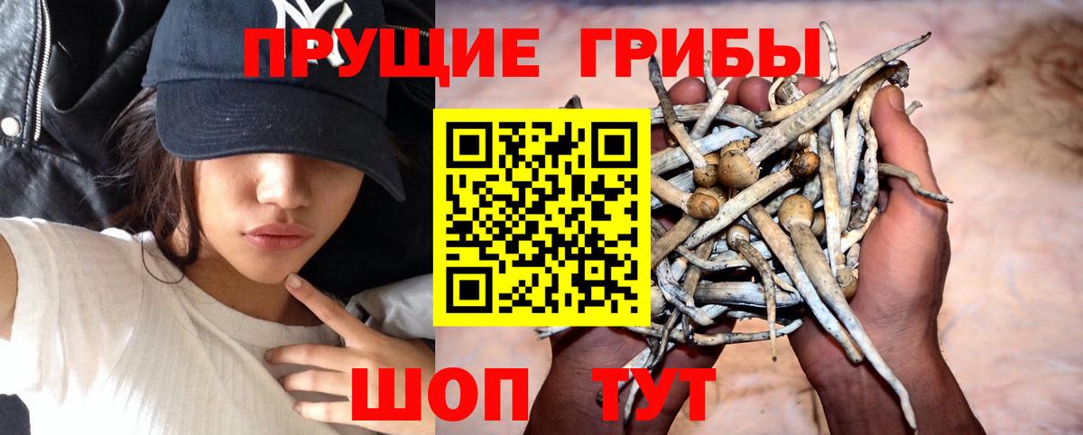 Галлюциногенные грибы мицелий Майский